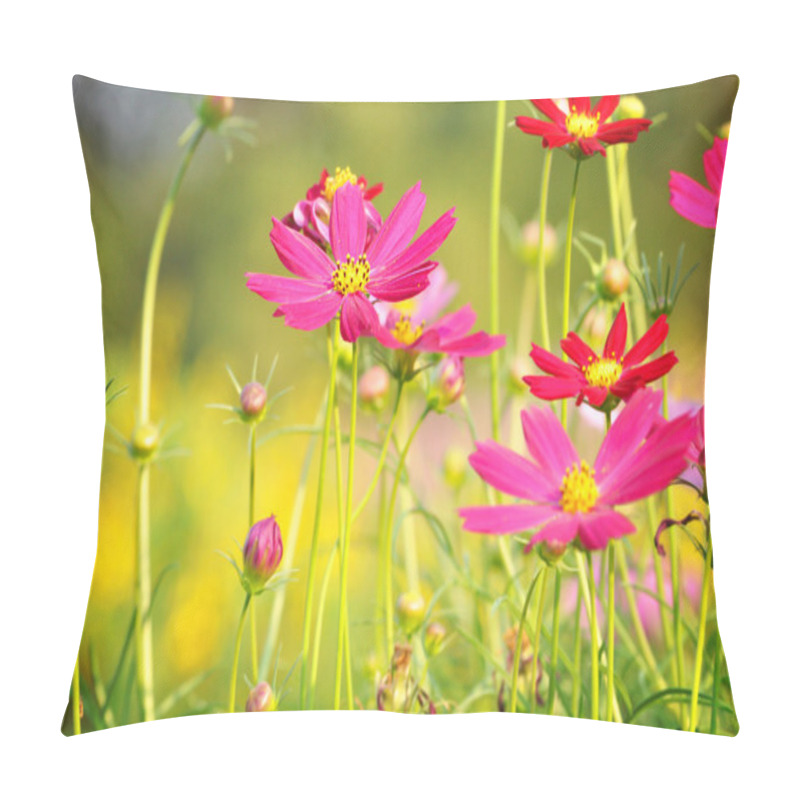 Personality  Red And Pink Cosmos Flowers Pillow Covers