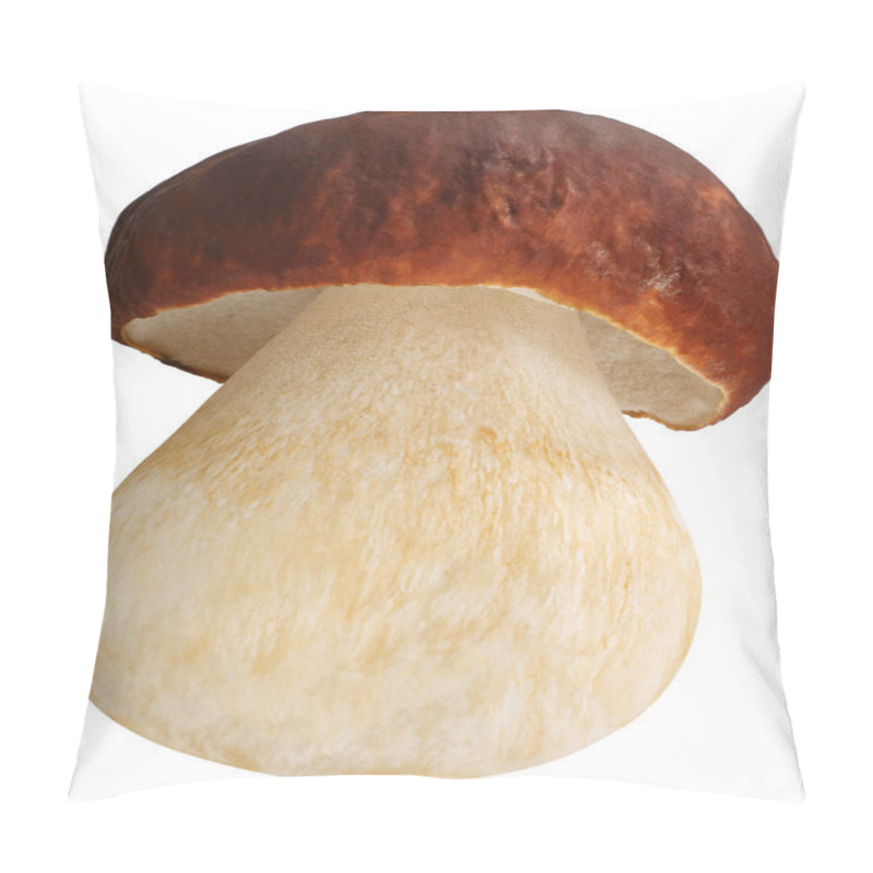 Personality  Cep Porcino B. Edulis Mushroom, Paths Pillow Covers