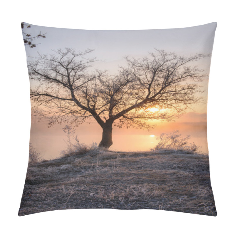 Personality  Lonely Tree Near Lake Pillow Covers