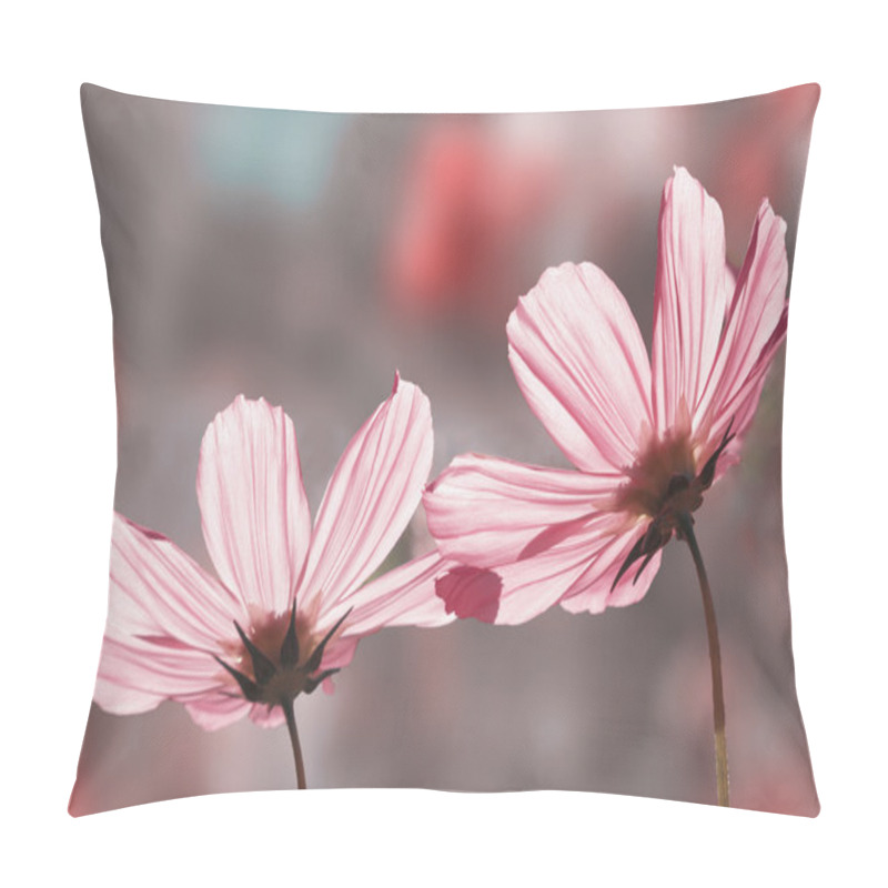 Personality  Two Beautiful Pink Cosmea Blossoms Pillow Covers