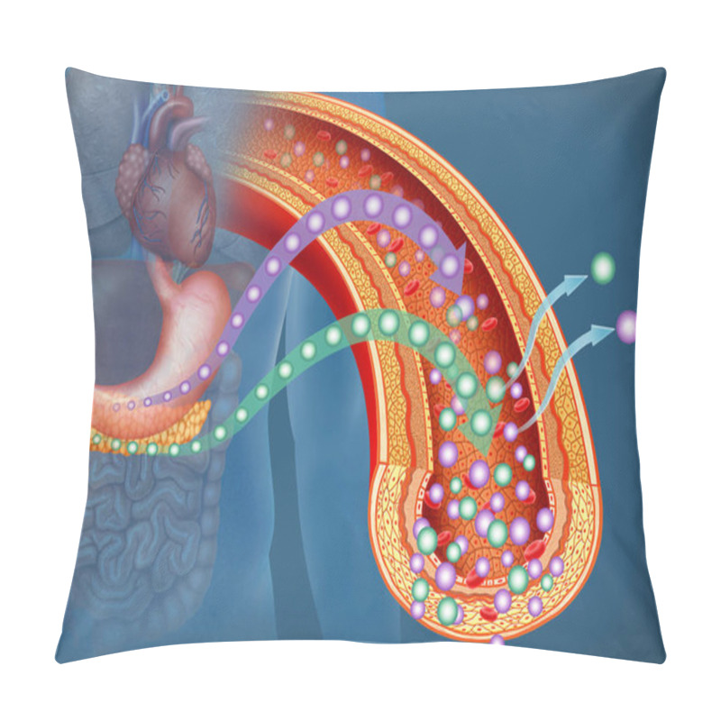 Personality  Descriptive Illustration Which Highlights The Pancreas And The Stomach In The Production Of Glucose And Insulin. Insulin Helps Glucose Enter The Cells Of The Body. If Glucose Can Not Enter The Cells, It Accumulates In The Blood. Pillow Covers