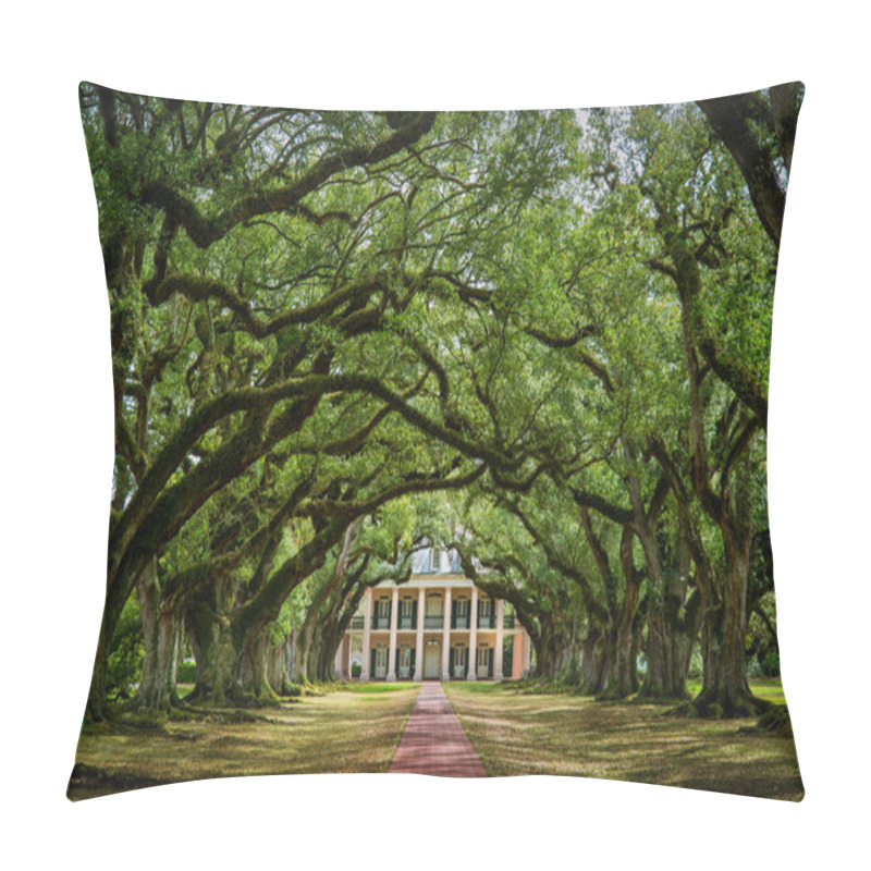 Personality  Oak Alley Plantation Historical Site New Orleans Louisiana USA Pillow Covers