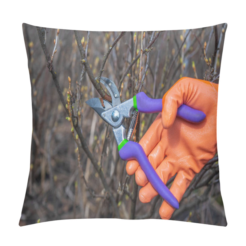 Personality  Human Hand In Orange Garden Glove Holding Pruner Against Currant Bush. Pruning Shrubs With Secateur In Early Spring. Gardening Concept Pillow Covers