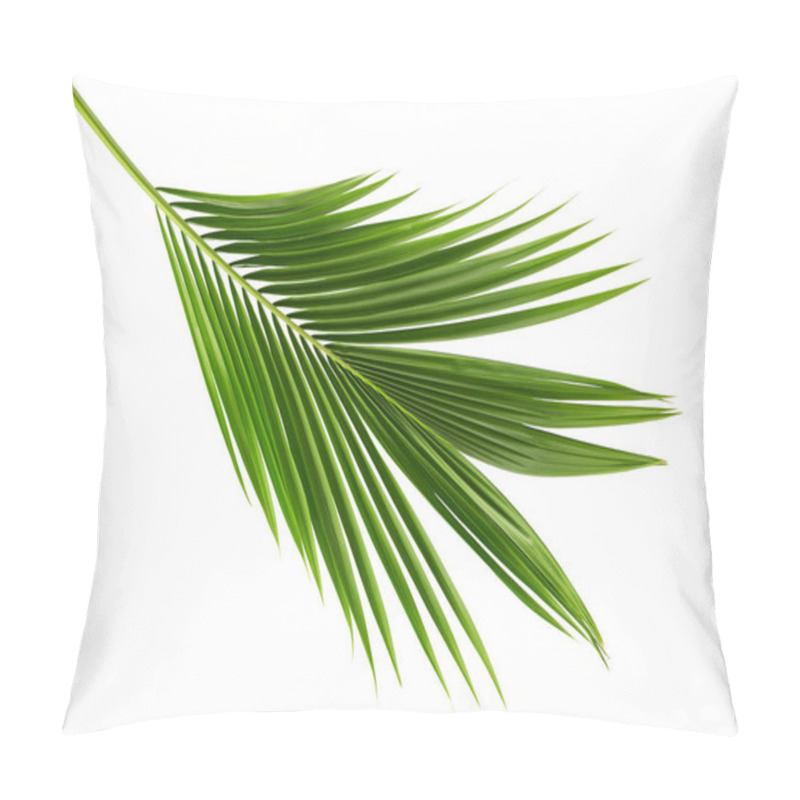 Personality  Coconut Leaves Or Coconut Fronds, Green Plam Leaves, Tropical Foliage Isolated On White Background With Clipping Path Pillow Covers