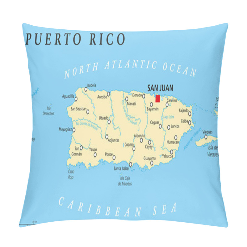 Personality  Puerto Rico Political Map Pillow Covers