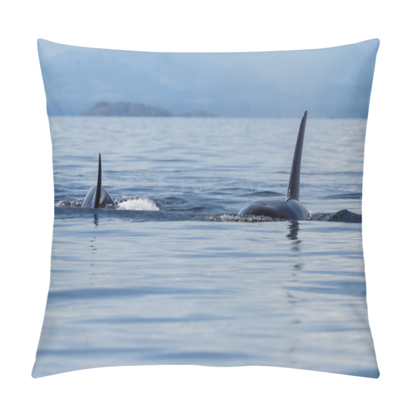 Personality  Jumping Orca Whales  Pillow Covers