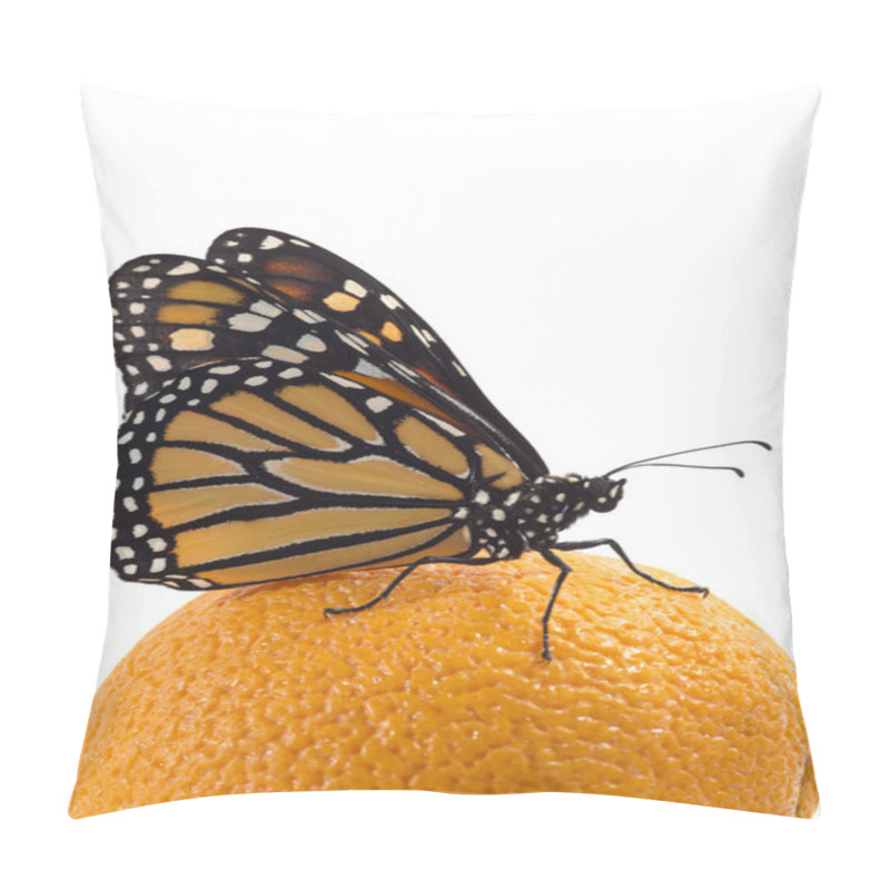 Personality  Beautiful Monarch Butterfly Perched On An Orange Pillow Covers