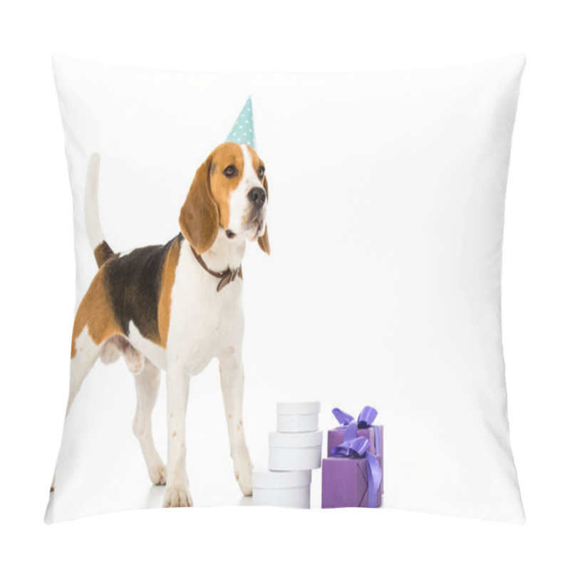 Personality  Cute Beagle Dog In Party Cone Standing Near Wrapped Gifts Isolated On White Pillow Covers