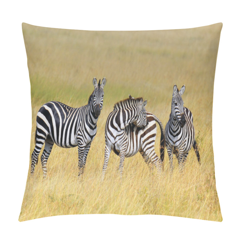 Personality  Zebra On Grassland In Africa Pillow Covers