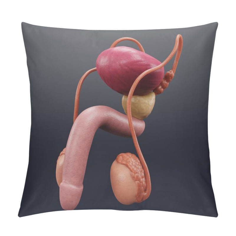 Personality  Realistic 3D Render Of Male Reproductive System Pillow Covers