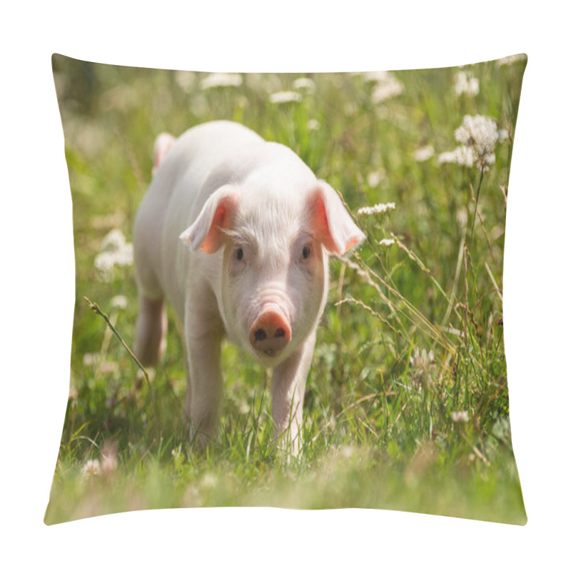 Personality  Young Funny Pig On A Green Grass Pillow Covers