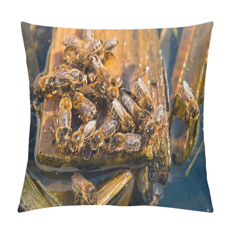 Personality  Bees Drinking Water In The Summer Pillow Covers