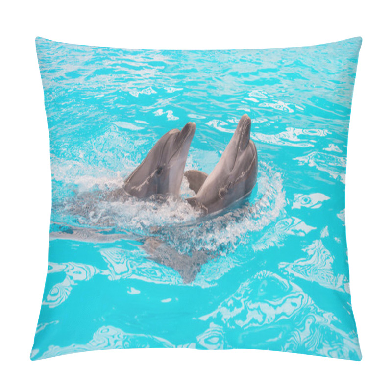 Personality  Dolphins Couple Swimming In Blue Pool Water Pillow Covers