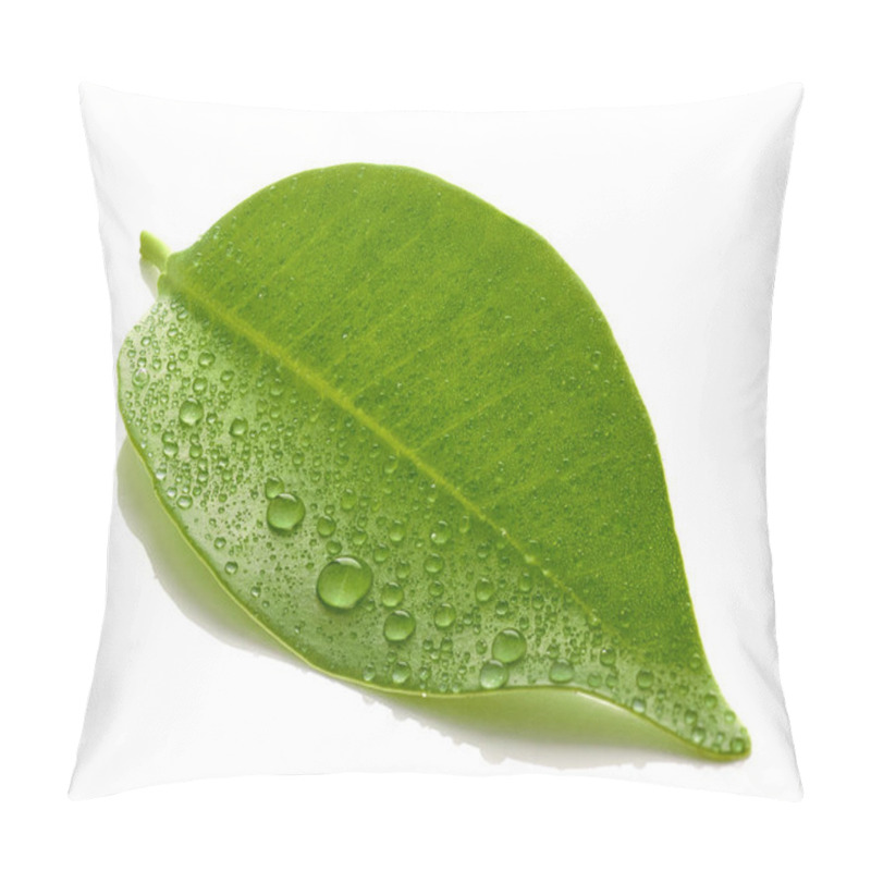 Personality  Fresh Wet Leaf Macro Isolated On White Background Pillow Covers