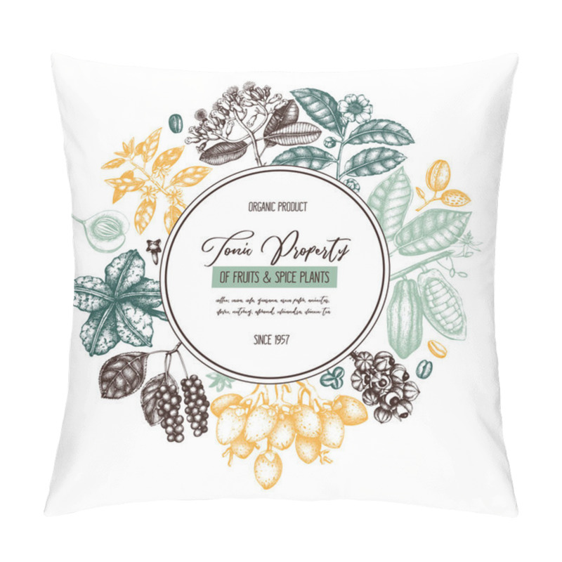 Personality  Vector Design Template With Tonic And Spicy Plants. Hand Drawn Spices Illustration. Vintage Frame With Aromatic Elements. Color Perfumery And Cosmetics Ingredients On White Background Pillow Covers