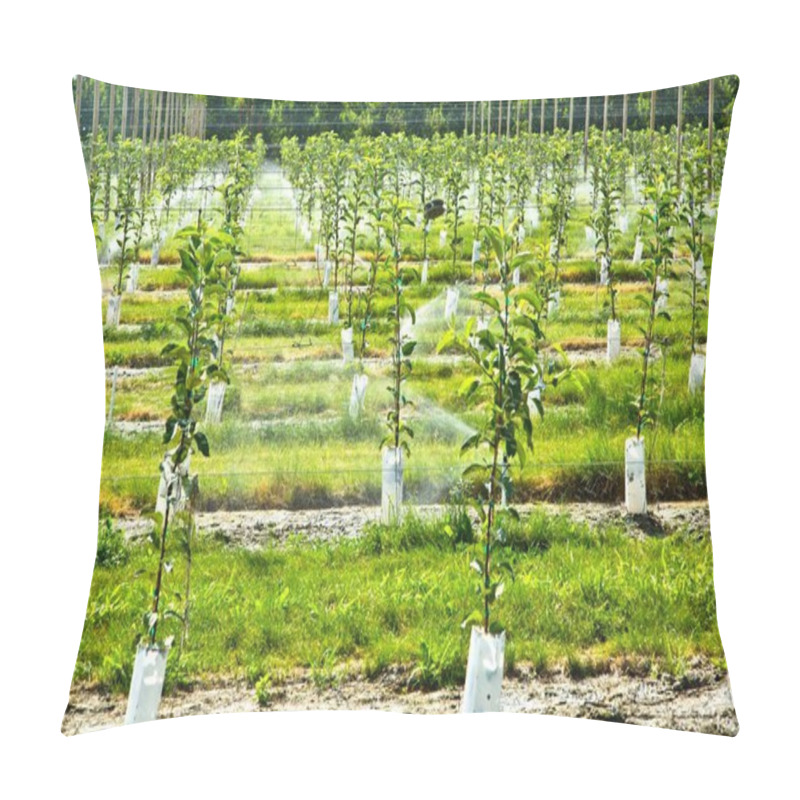 Personality  4K Image: Young Apple Trees Growing With Automatic Irrigation System Pillow Covers