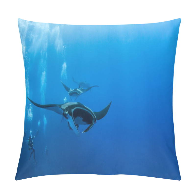 Personality  Picture Shows A Manta Ray During A Scuba Dive At Islas Revillagigedos, Mexico Pillow Covers