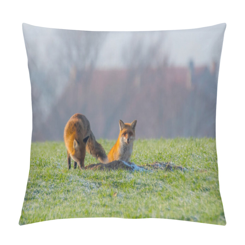 Personality  Young Fox Couple At A Fox Cave Pillow Covers