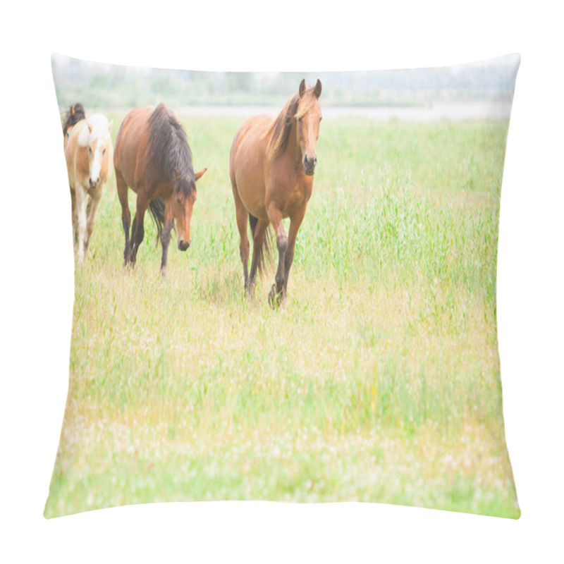 Personality  European Wild Horses  Pillow Covers