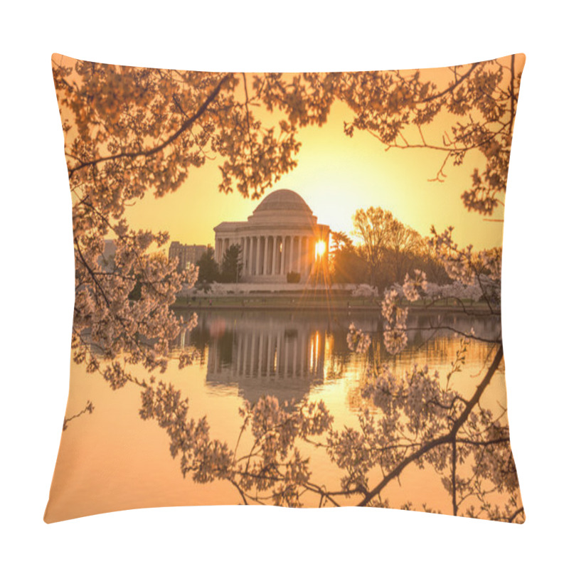 Personality  Washington DC In Spring Pillow Covers