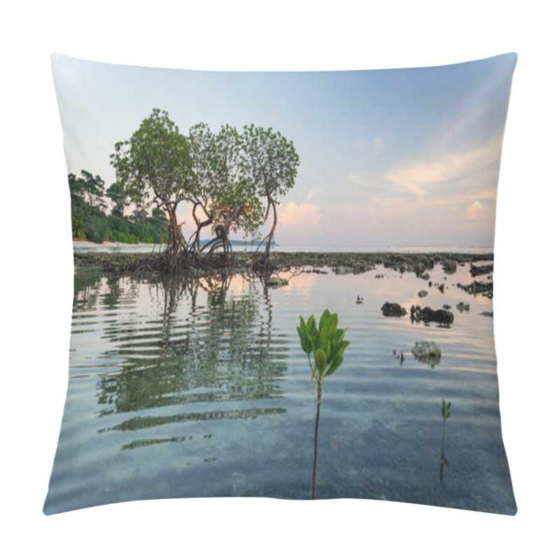 Personality  Pristine Beach On Havelock Island Pillow Covers