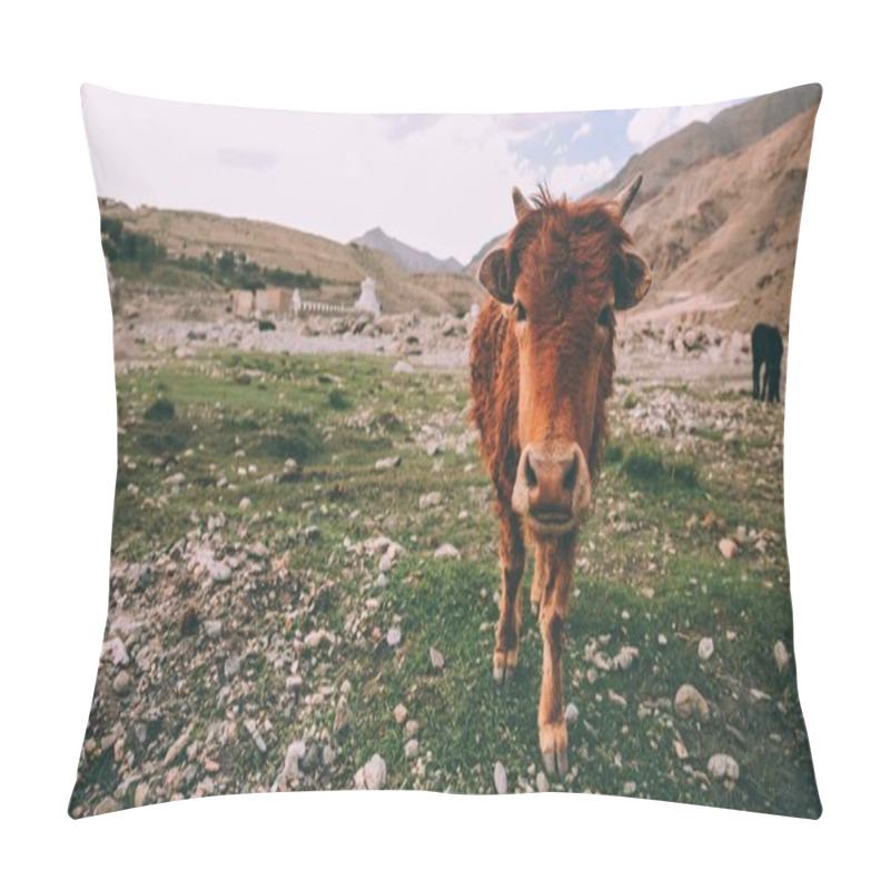 Personality  Cow Pillow Covers