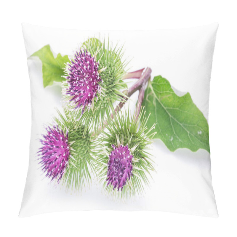 Personality  Prickly Heads Of Burdock Flowers On A White Background. Pillow Covers