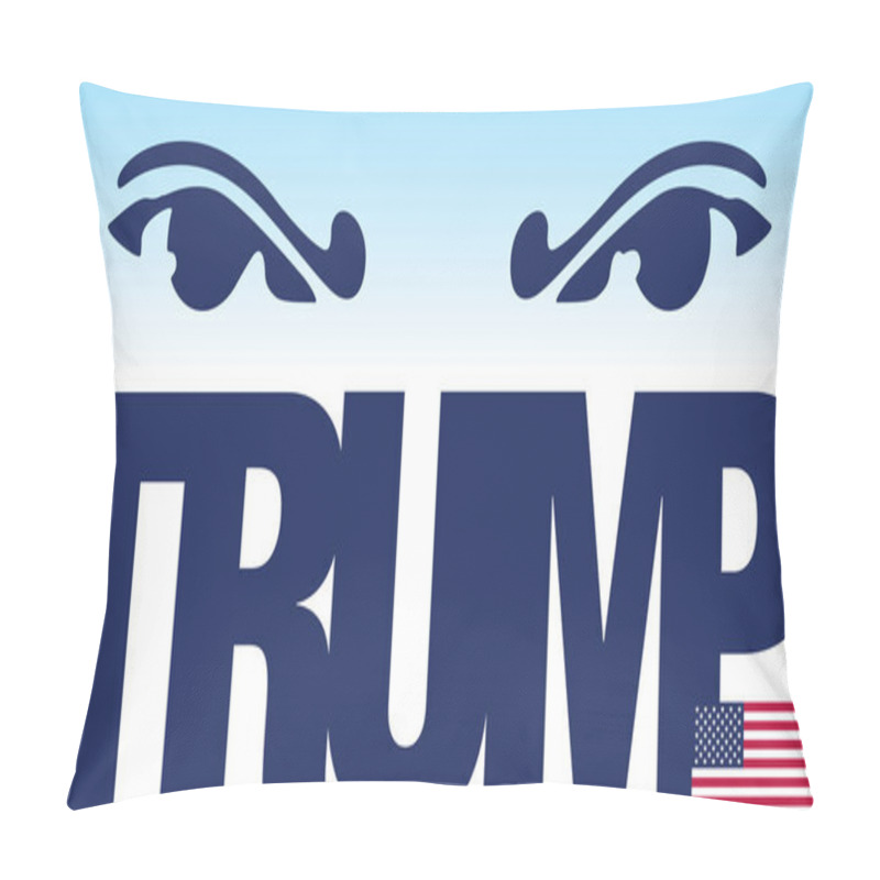 Personality  Donald Trump, Illustration And Graphic Elaboration With Name And US Flag Pillow Covers