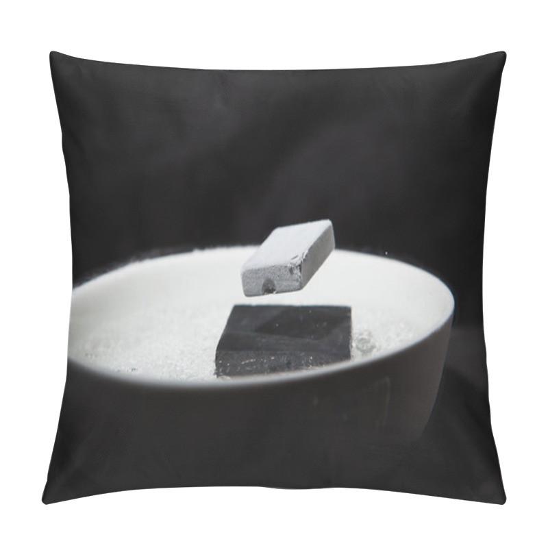 Personality  Physics In Action Pillow Covers