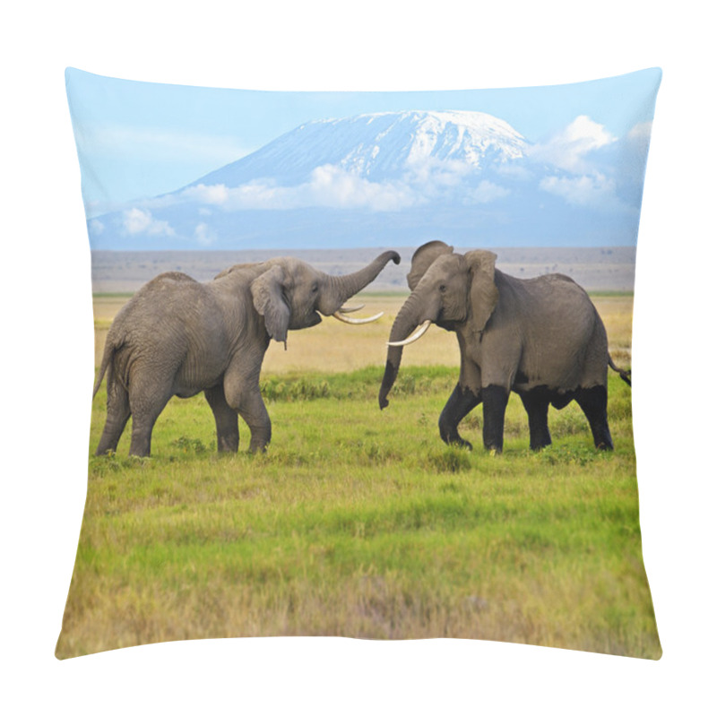 Personality  Two Male Elephants Pillow Covers