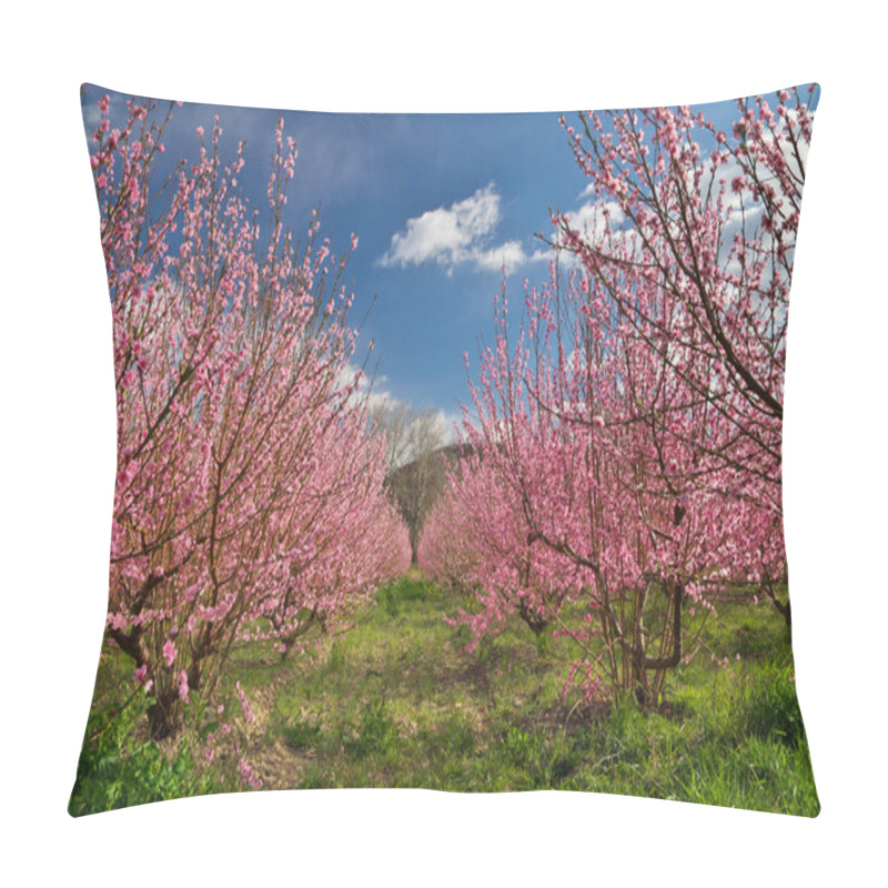 Personality  Orchard Blooming Spring Garden. Flowers On Tree. Nature Composition. Pillow Covers