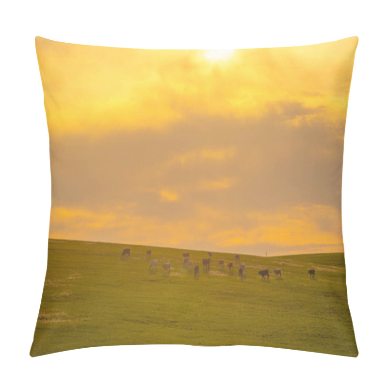 Personality  Sunset In The Pampa Biome In South America And Cattle Grazing. Cattle Ranch In Southern Brazil. Farms Area. Rural Landscape At Dusk. Pillow Covers