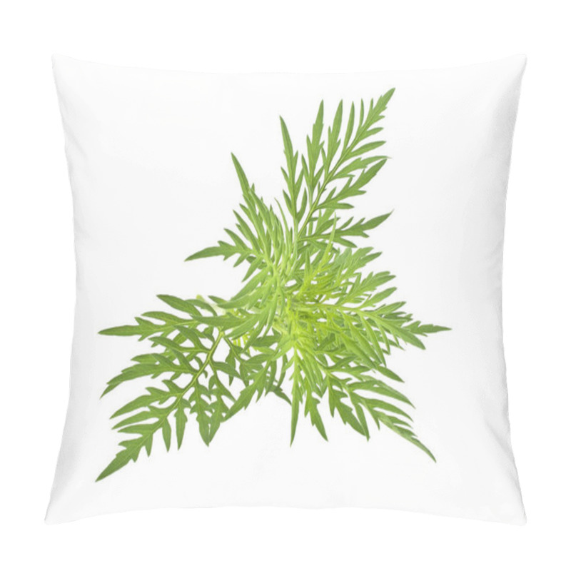 Personality  Ragweed Plant In Allergy Season Isolated On White Background, Co Pillow Covers