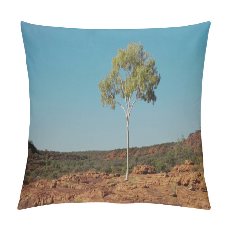 Personality  Close Shot Of A Solitary Gum Tree At Kings Canyon Pillow Covers