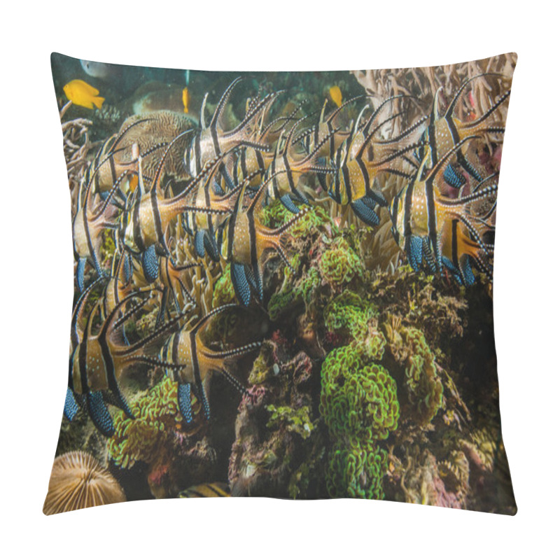 Personality  Scuba Diving Lembeh Indonesia Banggai Cardinalfish Underwater Pillow Covers