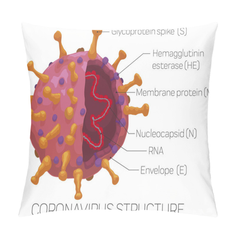 Personality  Infographic Depicting The External And Internal Coronavirus Structure, Vector Illustration Pillow Covers