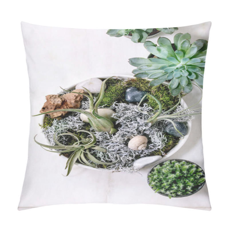 Personality  Plant Composition With Tillandsia Air, Moss And Different Succulent Plants Eonium, Cactus In Ceramic Pots On White Marble Table. Pandemic Hobbies, Green Houseplants, Urban Plants. Flat Lay Pillow Covers