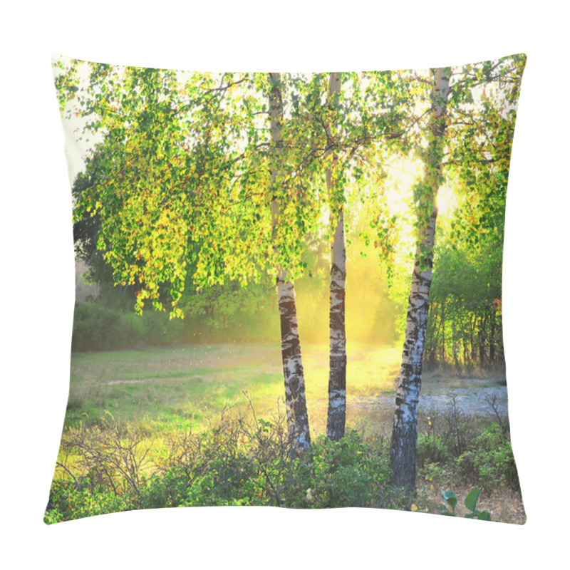 Personality  Birch Trees In A Summer Forest Pillow Covers