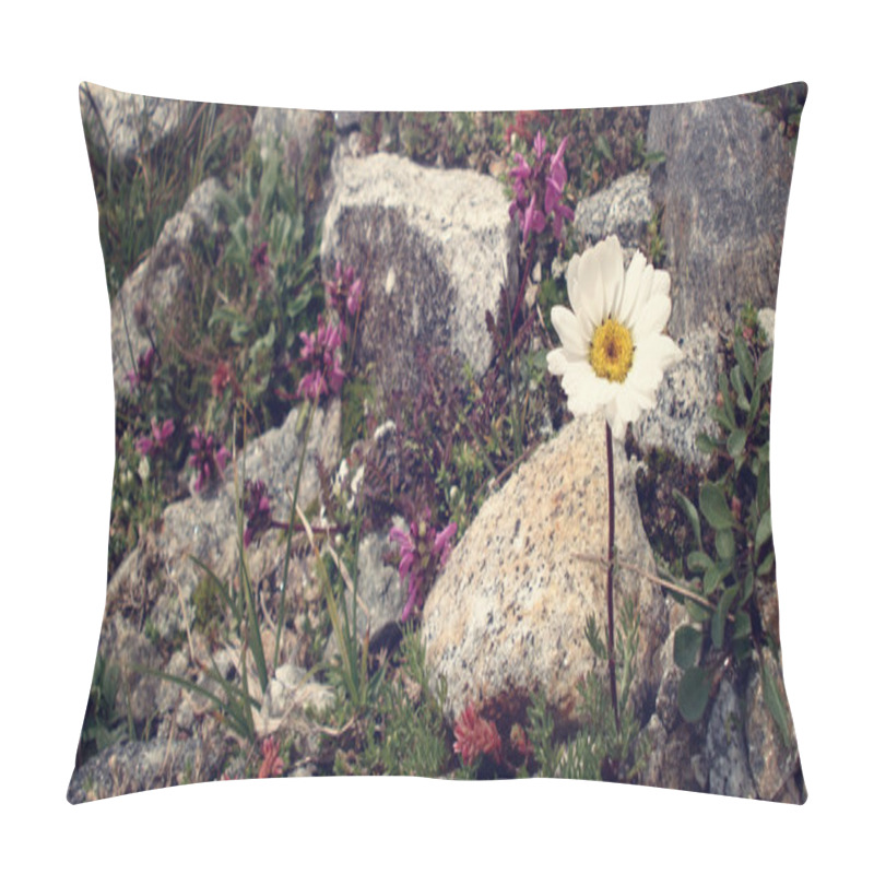 Personality  Mountain Flowers.  White And Pink Flowers Flowers Amongst Stones. Pillow Covers