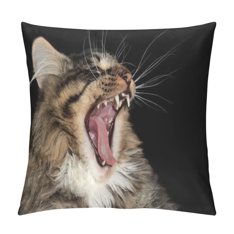 Personality  Yawning Cat Pillow Covers