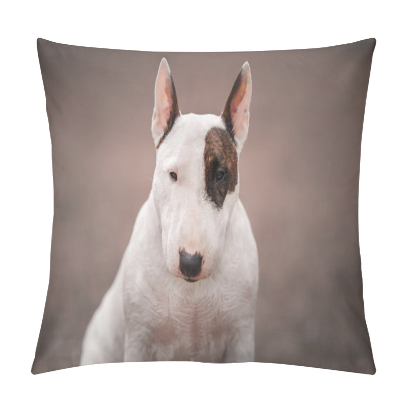 Personality  Dog Bull Terrier Walking In The Park Pillow Covers