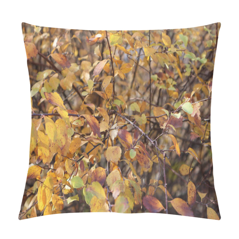 Personality  A Close-up View Of Autumn Branches Adorned With Yellow, Orange, And Brown Leaves, Capturing The Vibrant Colors Of The Fall Season Pillow Covers