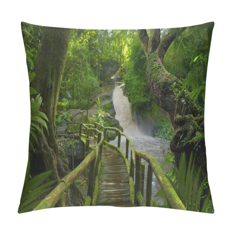 Personality  Tropical Rain Forest In Asia Pillow Covers