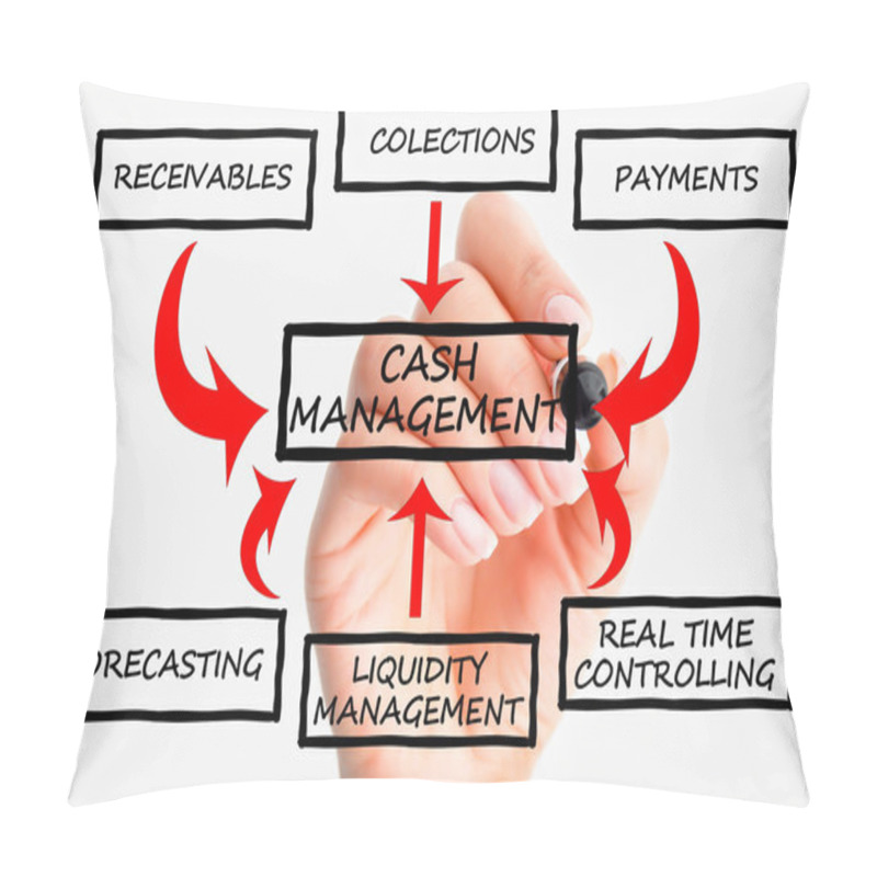 Personality  Cash Flow Management System Pillow Covers