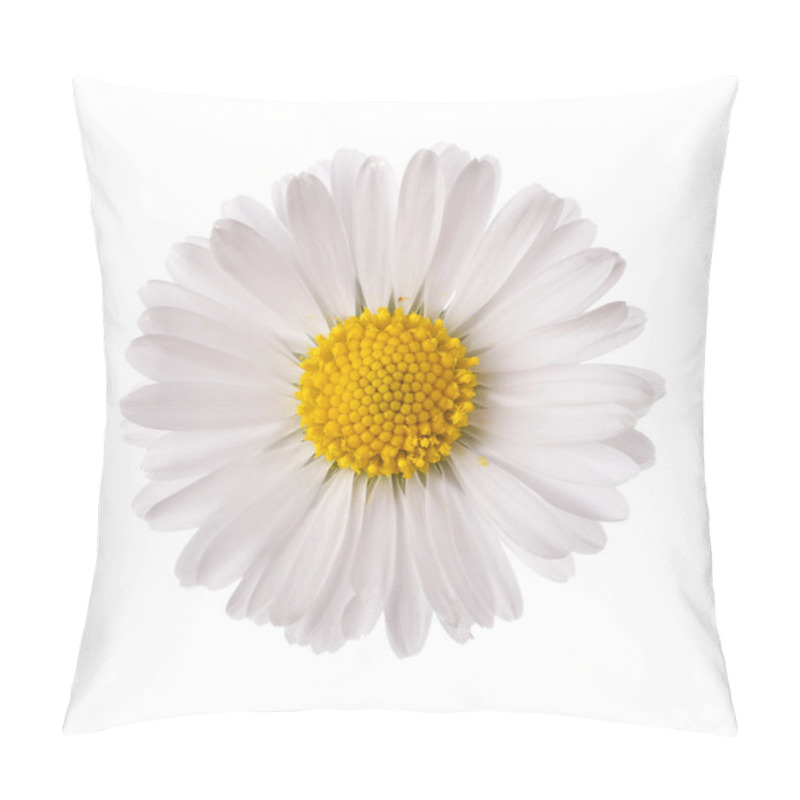 Personality  White Daisy Flower Pillow Covers