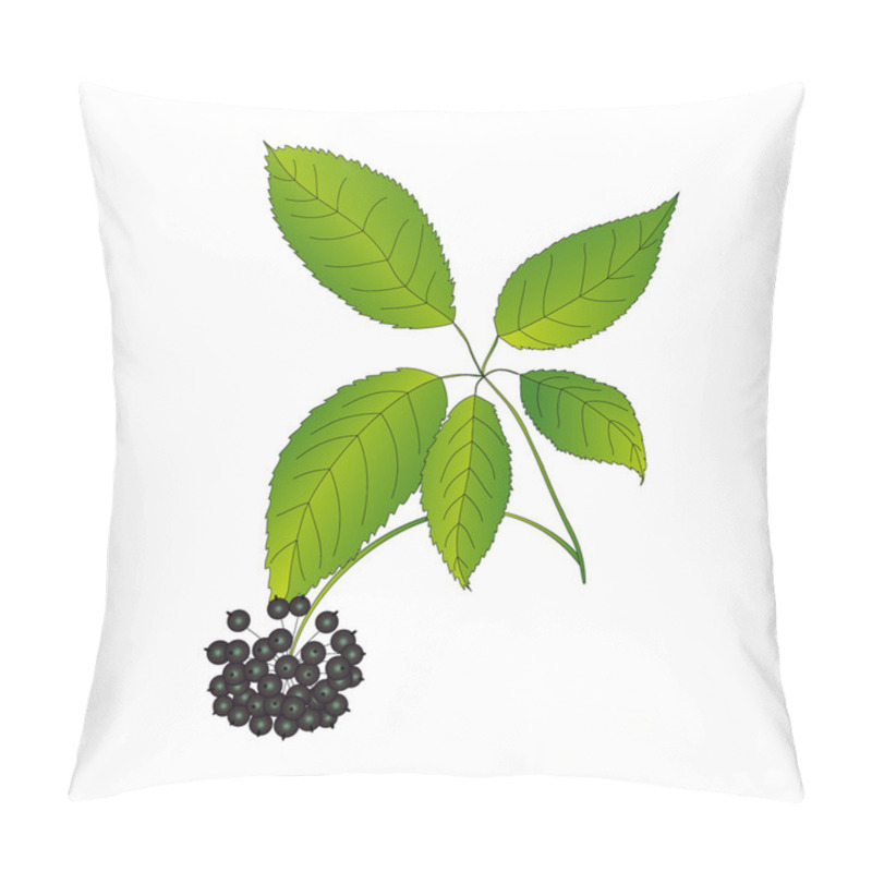 Personality  Eleutherococcus Senticosus Pillow Covers