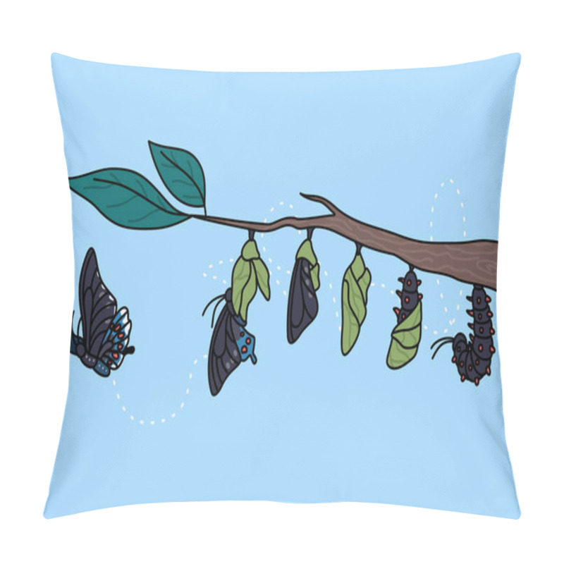 Personality  Stages Of Growth And Transformation Of Butterfly On Tree Branch. Life Cycle And Metamorphosis Of Insect. Caterpillar, Larva, Pupa, Imago Eclosion. Nature And Fauna. Vector Illustration.  Pillow Covers