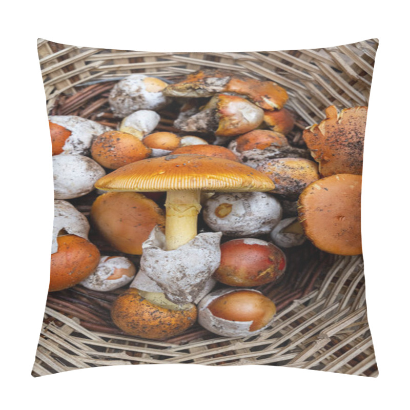 Personality  Caesar's Mushroom In A Wicker Basket. Vertical Picture Of Collected Edible Amanita Caesarea Mushroom. Pillow Covers