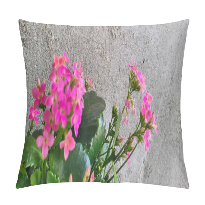 Personality  Pink Flowers With Rustic Wall Background Pillow Covers