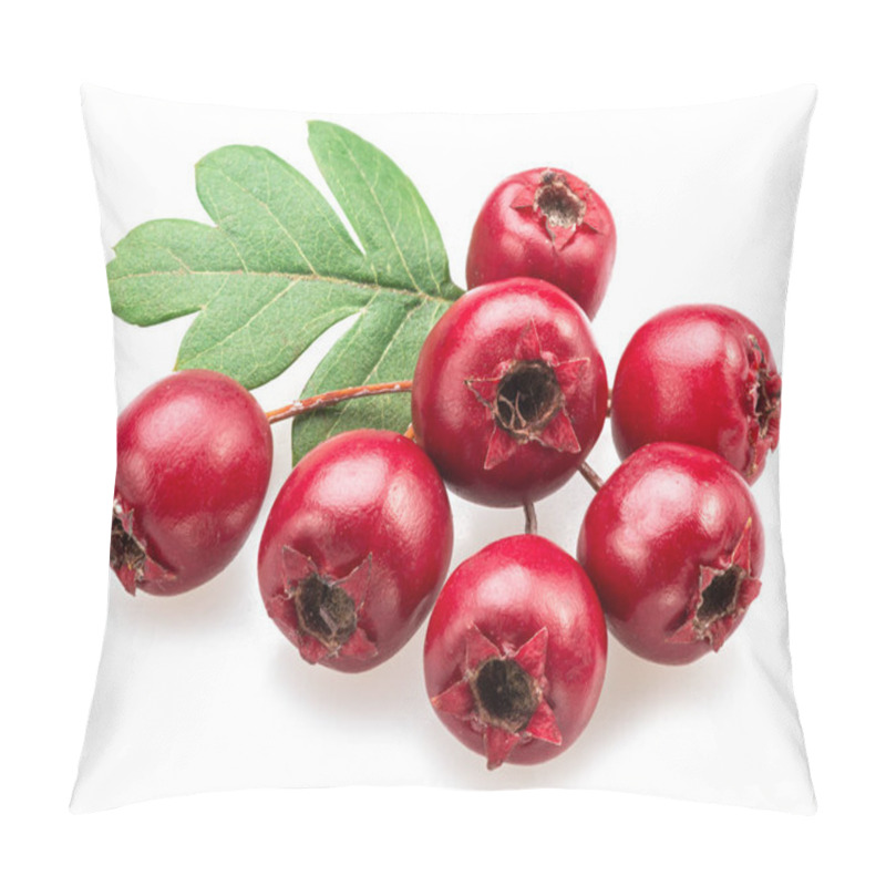 Personality  Branch Of  Common Hawthorn With Berries Isolated On White Background. Pillow Covers